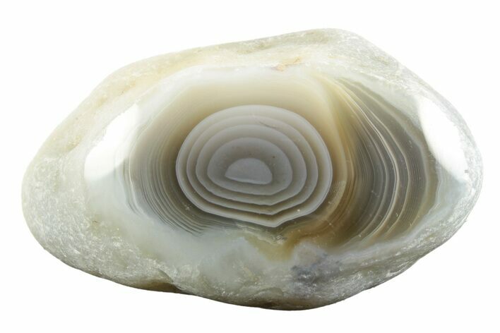 Polished Botswana Agate - Botswana #247995